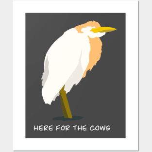 Here for the Cows - Cattle Egret Bird Humour Design Posters and Art